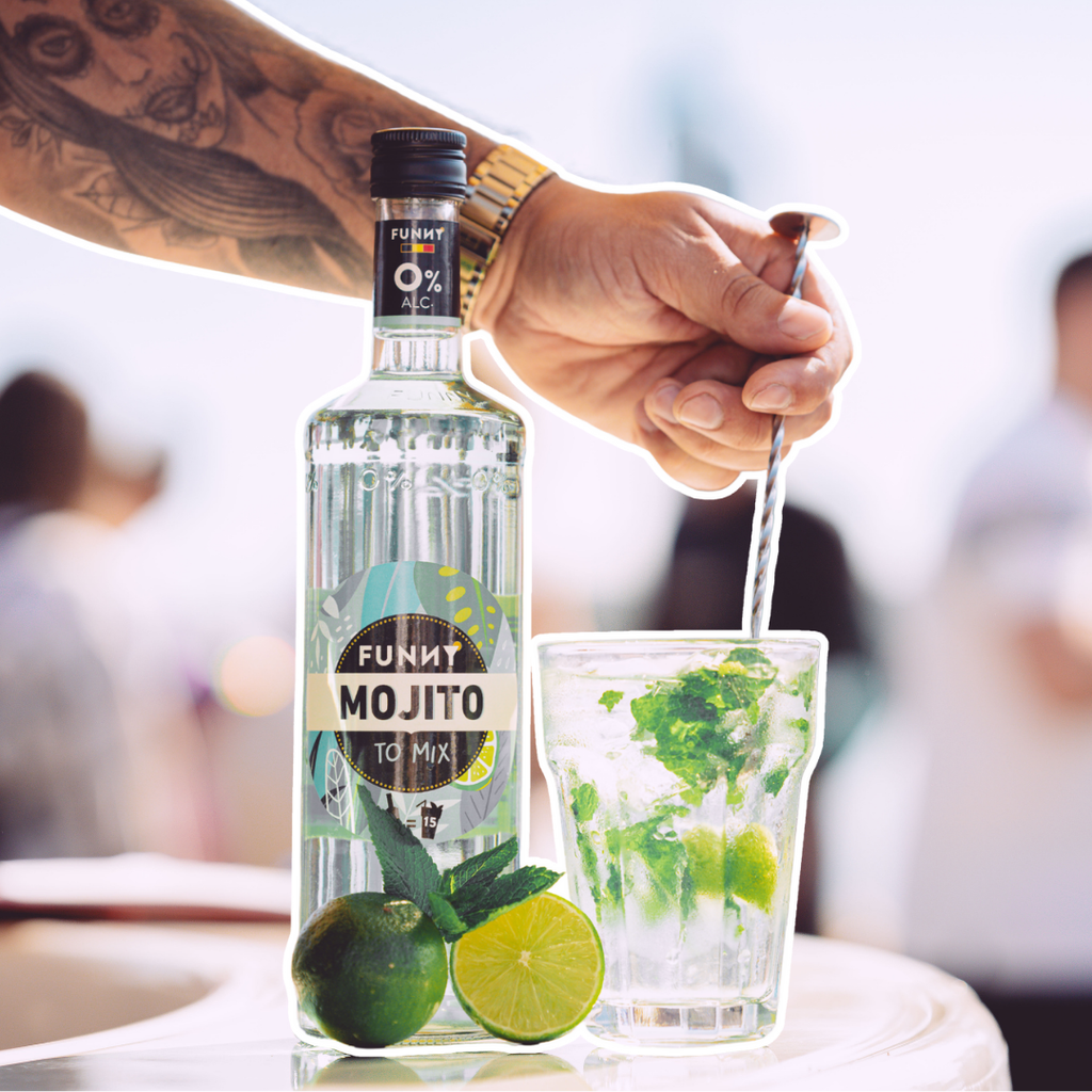 🌿 6-PACK of FUNNY Mojito bottles – 0% alc.