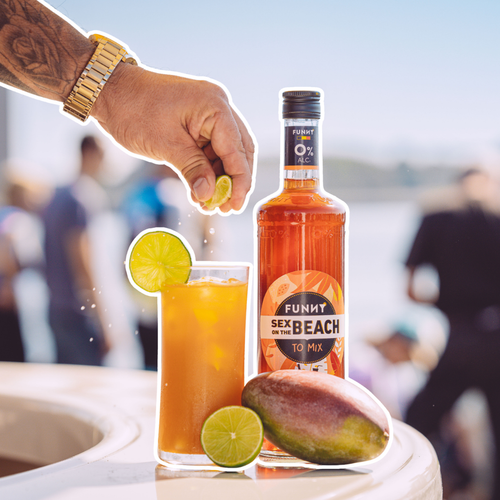 🍑 6-pack of FUNNY Sex on the Beach bottles – 0% alc.